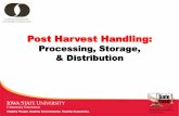 Post Harvest Handling -