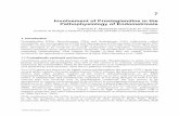 Involvement of Prostaglandins in the Pathophysiology of Endometriosis