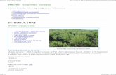 Species: Lespedeza cuneata - Invasive