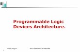 Programmable Logic Device Architecture