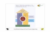 Food Biotechnology and Food Process Engineering