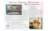 Small-Scale Poultry Processing - WSU Whatcom County Extension