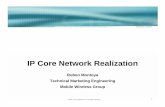 IP Core Network Realization - IEEE 802
