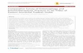 Comparative Survey of Entomophagy and Entomotherapeutic Practices