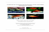 A Manual for Commercial Production of the Swordtail, Xiphophorus