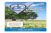 Grace Doctrine Church - Joe Griffin