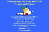 Aroma/Flavor, Management of Grape and Wine Aroma and Flavor