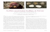 Truffles and False Truffles: A Primer - FUNGI Mag