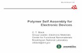 Polymer Self Assembly for Electronic Devices