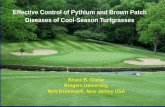 Effective Control of Pythium and Brown Patch Diseases of Cool