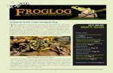 Atelopus exiguus © Luis Coloma FROGLOG - Amphibian Specialist Group