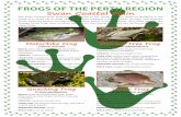 Frogs of the Perth Region