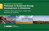 DOE OFFICE OF INDIAN ENERGY Pathways to Sustained Energy
