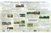 Smallholder Rubber Agroforestry System (SRAS) project: translating