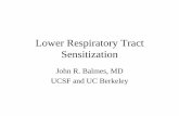 Lower Respiratory Tract Sensitization