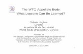 The WTO Appellate Body: What Lessons Can Be Learned?