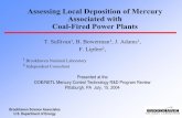 Assessing the Impacts of Local Deposition of Mercury Associated