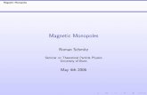 Magnetic Monopoles - Physics Institute of Bonn University, Theory