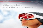 Glycobiology and Glycoproteomics