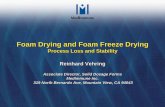 Foam Drying and Foam Freeze Drying -