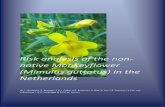 Risk analysis of the non-native Monkeyflower (Mimulus guttatus) in