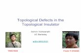 Topological Defects in the Topological Insulator