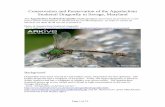 Conservation for the Appalachian Snaketail Dragonfly in Savage