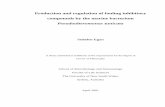 Production and regulation of fouling inhibitory compounds by the