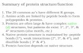 Summary of protein structure/function