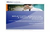 MPLS Traffic Engineering: A Choice Of Signaling Protocols