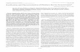 Purification and Characterization of Pituitary Bovine Somatotropin*