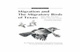 Migration and the Migratory Birds of Texas: Who They Are and
