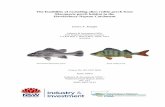The feasibility of excluding alien redfin perch from Macquarie