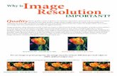 Why isImage Resolution - Printing Portland Oregon | Express Color