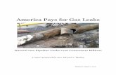 America Pays for Gas Leaks - Senator Edward Markey