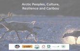 Arctic peoples, culture, resilience and caribou - NWT