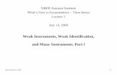 Weak Instruments, Weak Identification, and Many Instruments, Part I