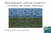 Bird Migration and the incidence of H5N1 HP Avian Influenza