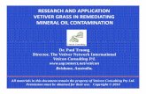 RESEARCH AND APPLICATION VETIVER GRASS IN REMEDIATING