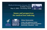 Issues and perspectives for medical text indexing