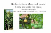 Biofuels from Marginal lands: Some insights for India