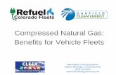 Compressed Natural Gas: Benefits for Vehicle Fleets