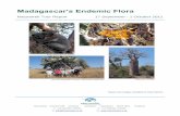 Madagascarâ€™s Endemic Flora - Naturetrek