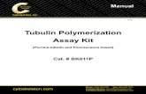 Tubulin Polymerization Assay Kit - Cytoskeleton