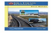 FINAL EPORT - Gila County, Arizona