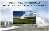 INDONESIA GEOTHERMAL DEVELOPMENT FOR POWER PROJECT