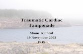 Traumatic Cardiac Tamponade - MUN