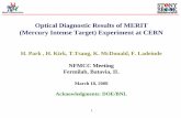Optical Diagnostic Results of MERIT (Mercury Intense Target
