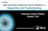 Web and Data Endpoint clients Webinar 2: Diagnostics and