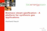 Biomass steam gasification - A platform for synthesis gas applications